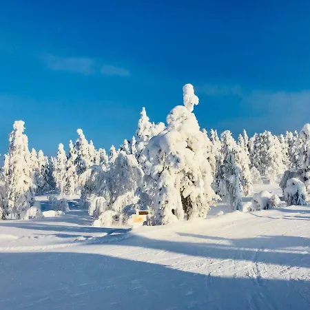 Kolmio 65 M2 Ylin Kerros 아파트