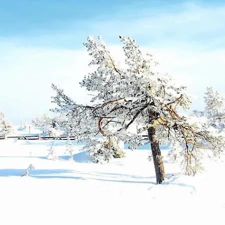 Kolmio 65 M2 Ylin Kerros