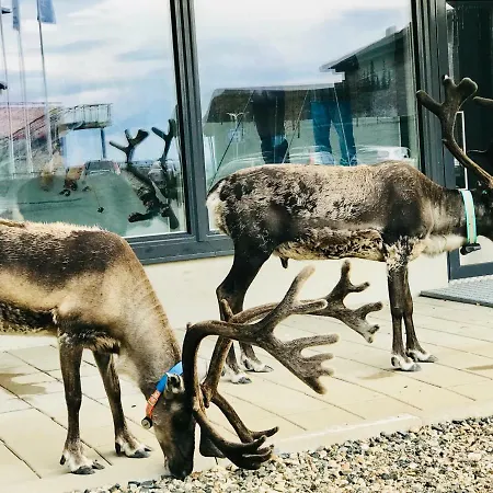 아파트 Kolmio 65 M2 Ylin Kerros *