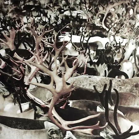 아파트 Kolmio 65 M2 Ylin Kerros