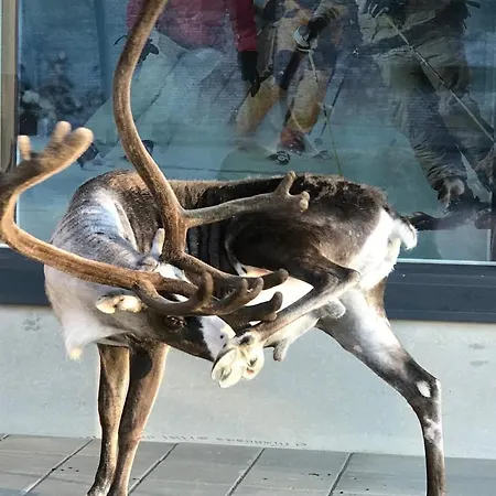 아파트 Kolmio 65 M2 Ylin Kerros