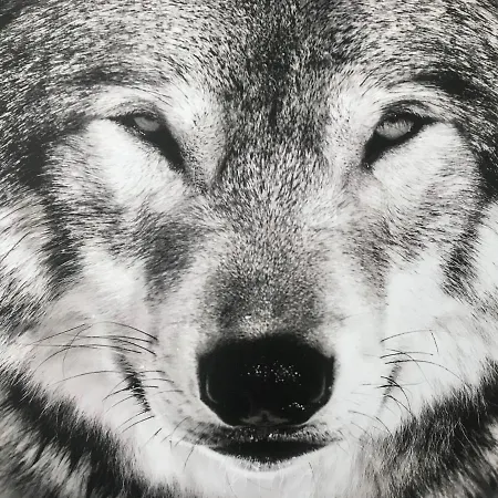 Kolmio 65 M2 Ylin Kerros 아파트 레비