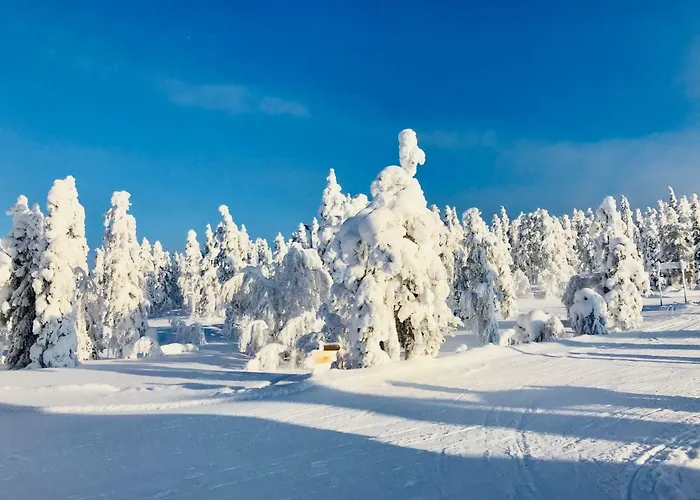 Kolmio 65 M2 Ylin Kerros Apartmán