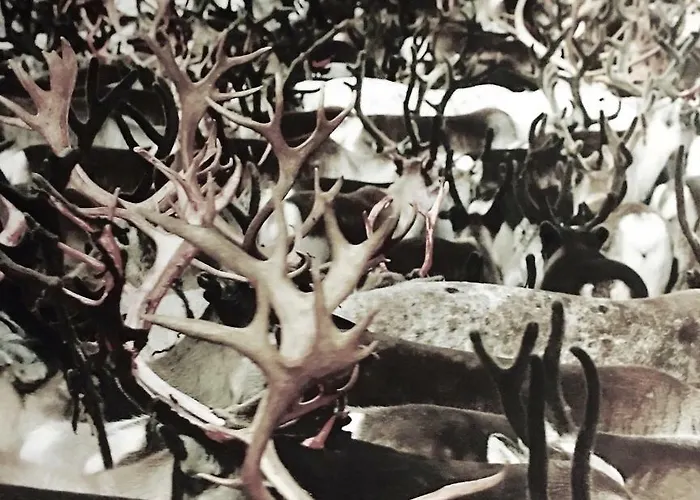 Apartmán Kolmio 65 M2 Ylin Kerros