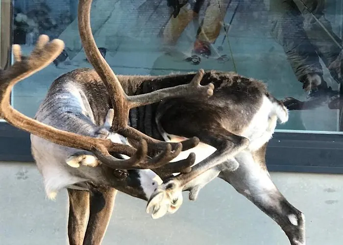 Apartmán Kolmio 65 M2 Ylin Kerros