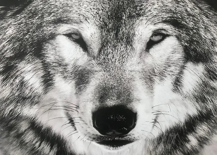 Kolmio 65 M2 Ylin Kerros Apartmán Levi